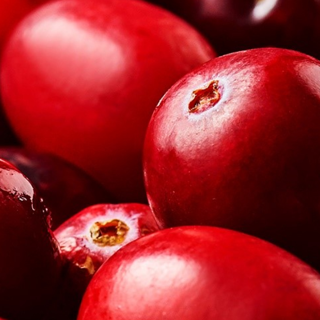 Cranberry juice powder