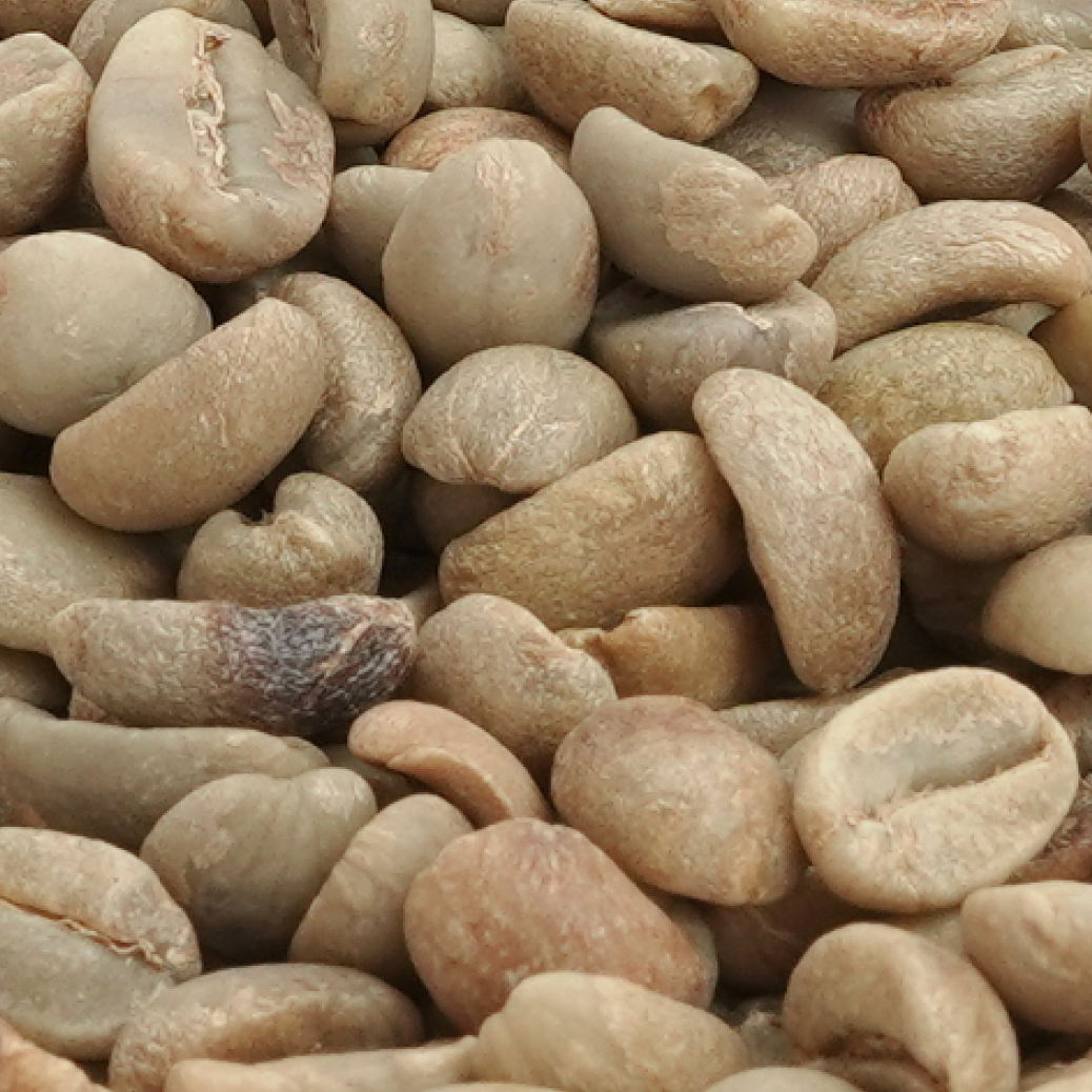 Green coffee extract