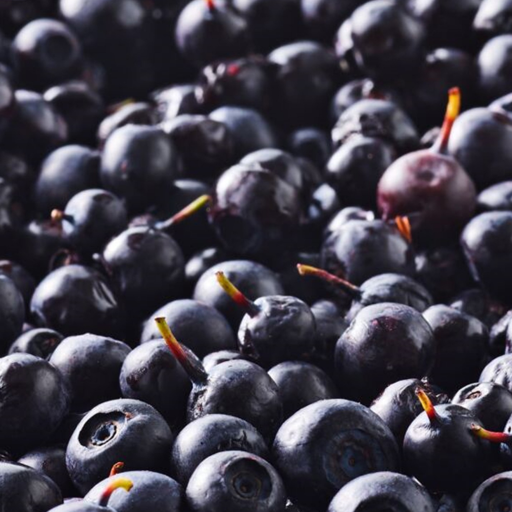 Bilberry