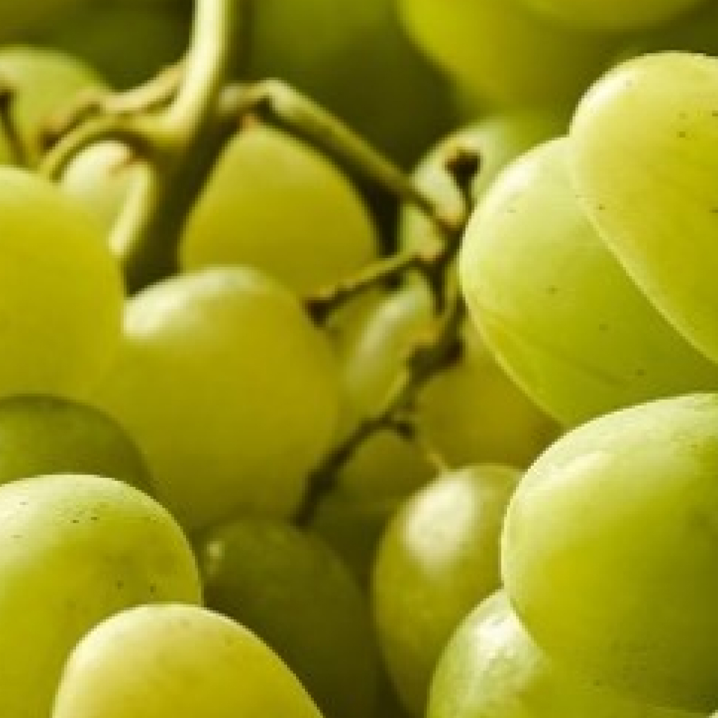 White-Grape